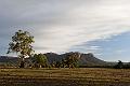 Grampians